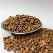100% Naturally Dried Whole Apricot Kernels Organic Raw Apricot Seeds Fresh Crop